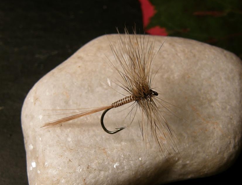 Niklas Dahlin Flytier Catskill dry fly demo in Dalarna