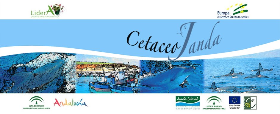 Proyecto Cetaceojanda