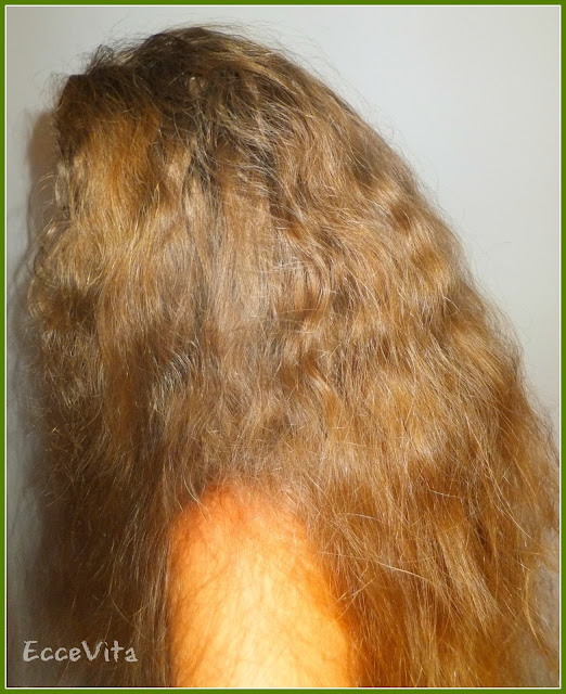 Long Hair Water Only Hair Washing Experiment - Final Update Picture of My Long Hair - Water Only Hair Washing Experiment Final Update