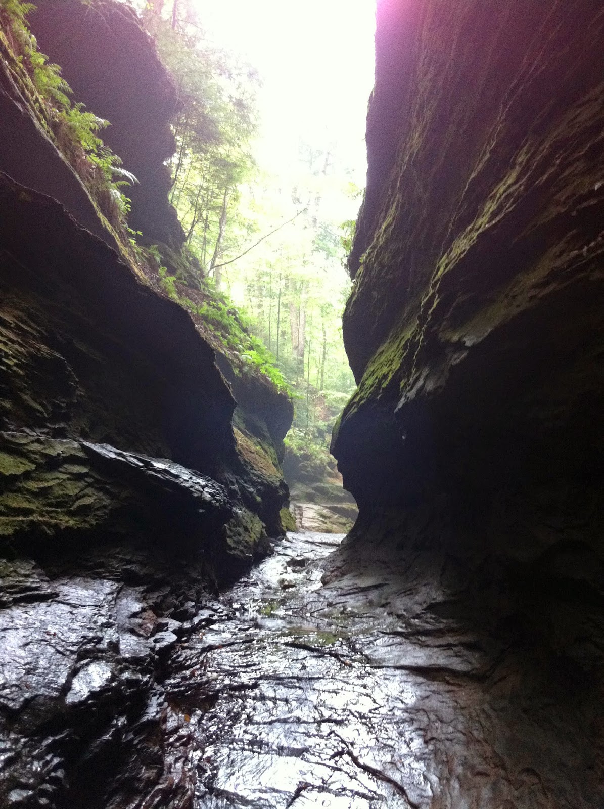TURKEY RUN & FALLS INDIANA ADAM HAYDOCK