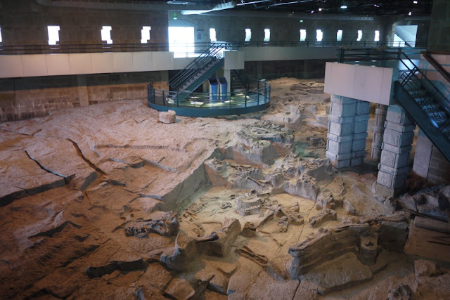 large partially excavated fossil pit