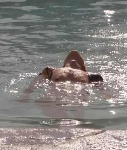 Laura Croft (Actresses/Items) 155 Camilla+Luddington+(6)