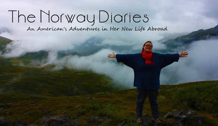 The Norway Diaries