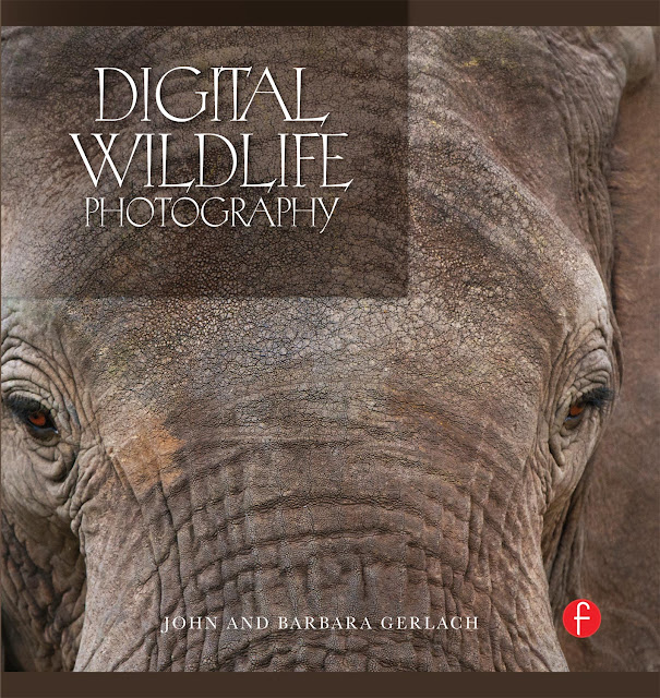 Wildlife Photography: Digital Wildlife Photography Reviews Gerlach