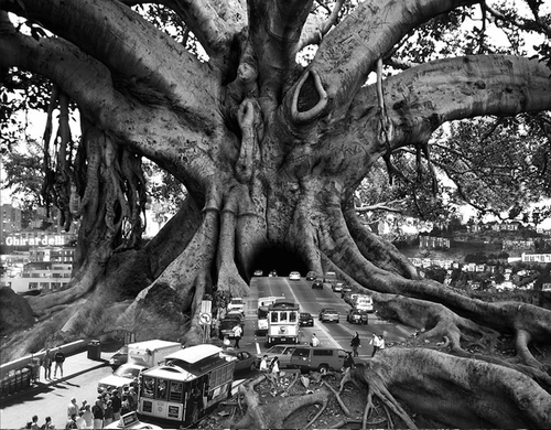 07-Tourist-Trap-Swiss-Photographer-Photo-Montage-Surreal-Thomas-Barbèy-Designer-Recording-Artist-Lyricist-Fashion 