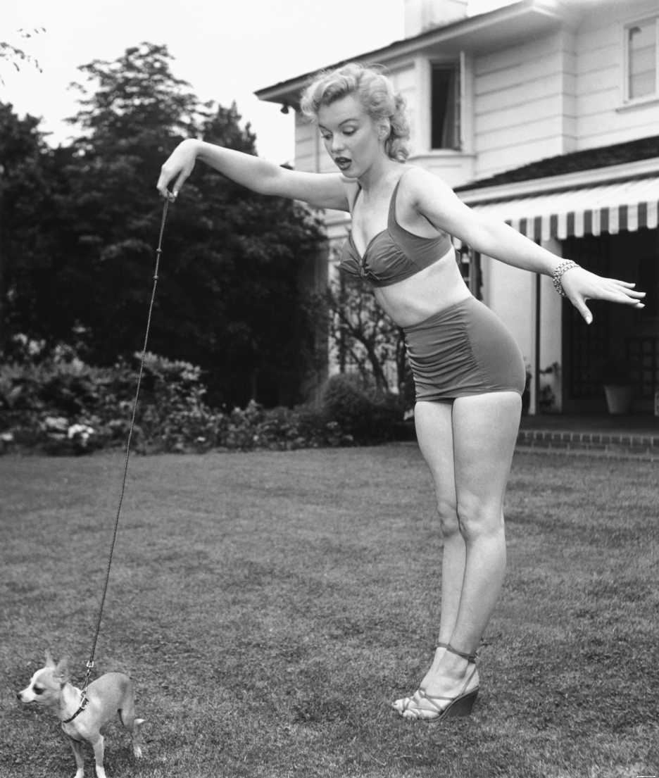 http://2.bp.blogspot.com/-qZWWuVU-1Js/UHdQps-1spI/AAAAAAAAAWs/sUJa0pJPJmY/s1600/marilyn-monroe-and-dog.jpg