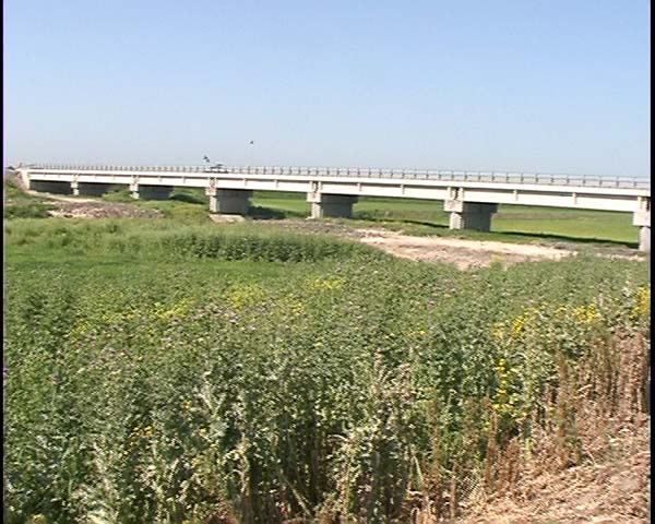 Manfredonia: Dopo 30 anni il ponte sul Candelaro