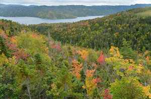 Gros Morne National Park