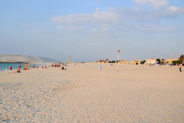 Beauty Of A Wallflower