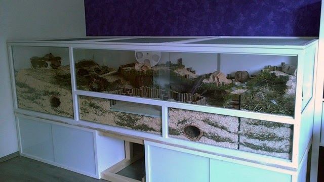 Naturnahe Hamstergehege: 2,7m² Traum-Eigenbau / 29ft square DIY dream cage