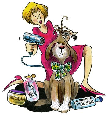 Resultado de imagen para peluqueria  gif