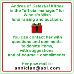 About Winnie's Wish Fund Raising