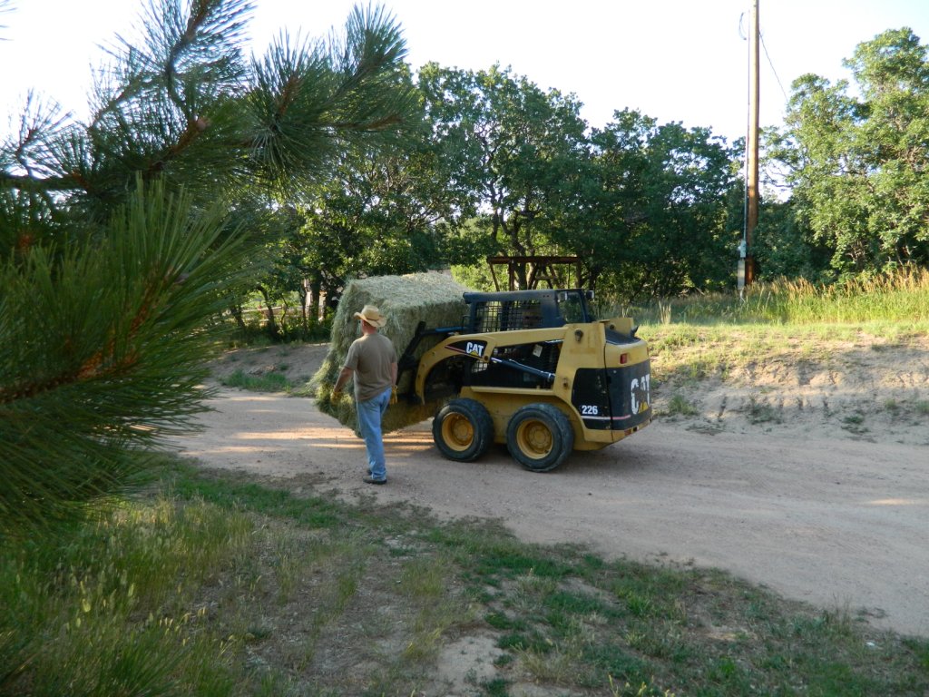 Meanwhile, back at the ranch... Hay! It's Eggstrordinary! We've gone