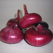 Red Marble Cippolini from GrowItalian.com Red Marble Cippolini from GrowItalian.com