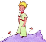 LE PETIT PRINCE