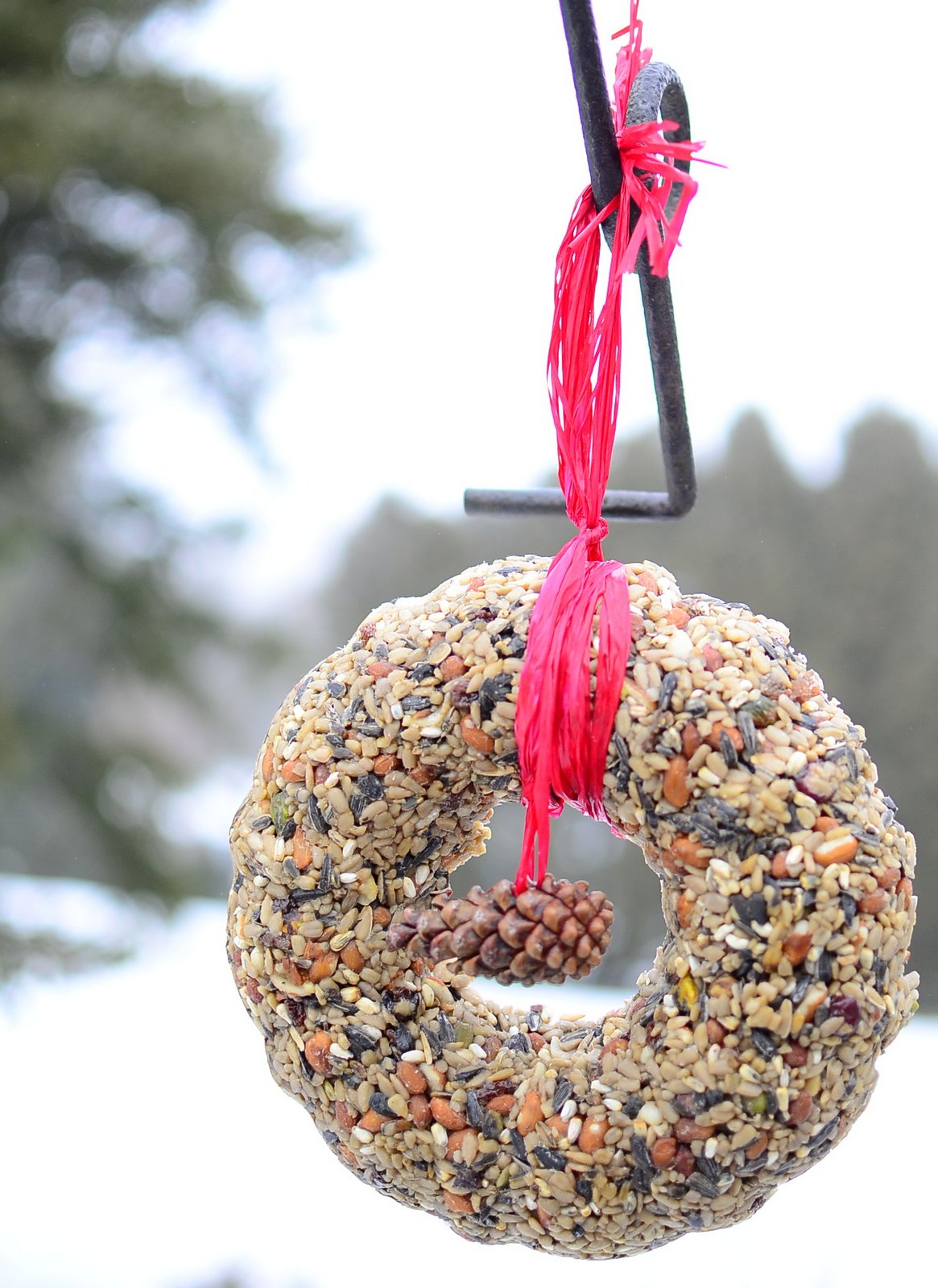 Jane of all Trades Waiting for Spring Bird Seed Wreath