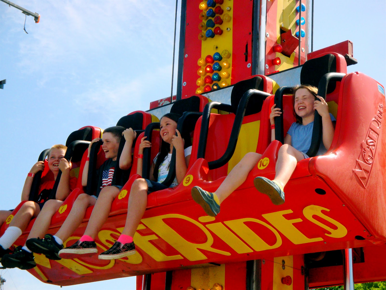 Herding The Lynden Fair