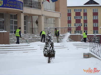 Deszapezire la Casa de Cultura