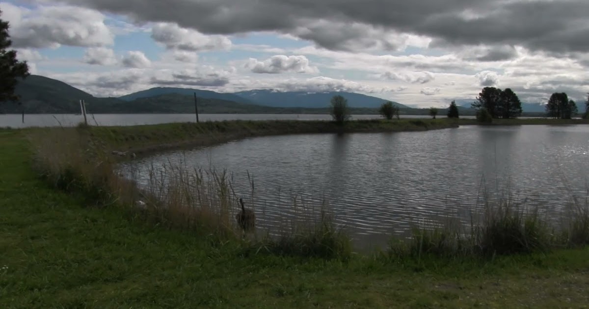 GoKustom Samish Island