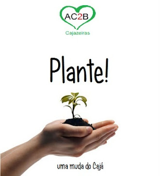 Plante uma muda de Cajá!