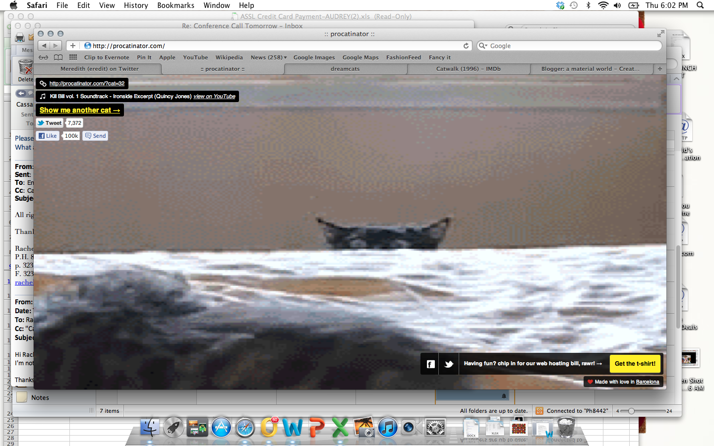 Cat+filing+nails+gif+tumblr