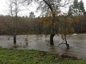 by E.V.Pita 2012 / River Tambre - Oroso (A Coruña, Galicia, Spain)