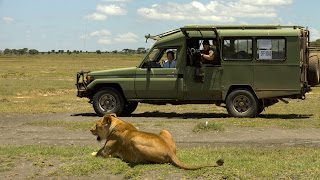 hunter shoot cheetah