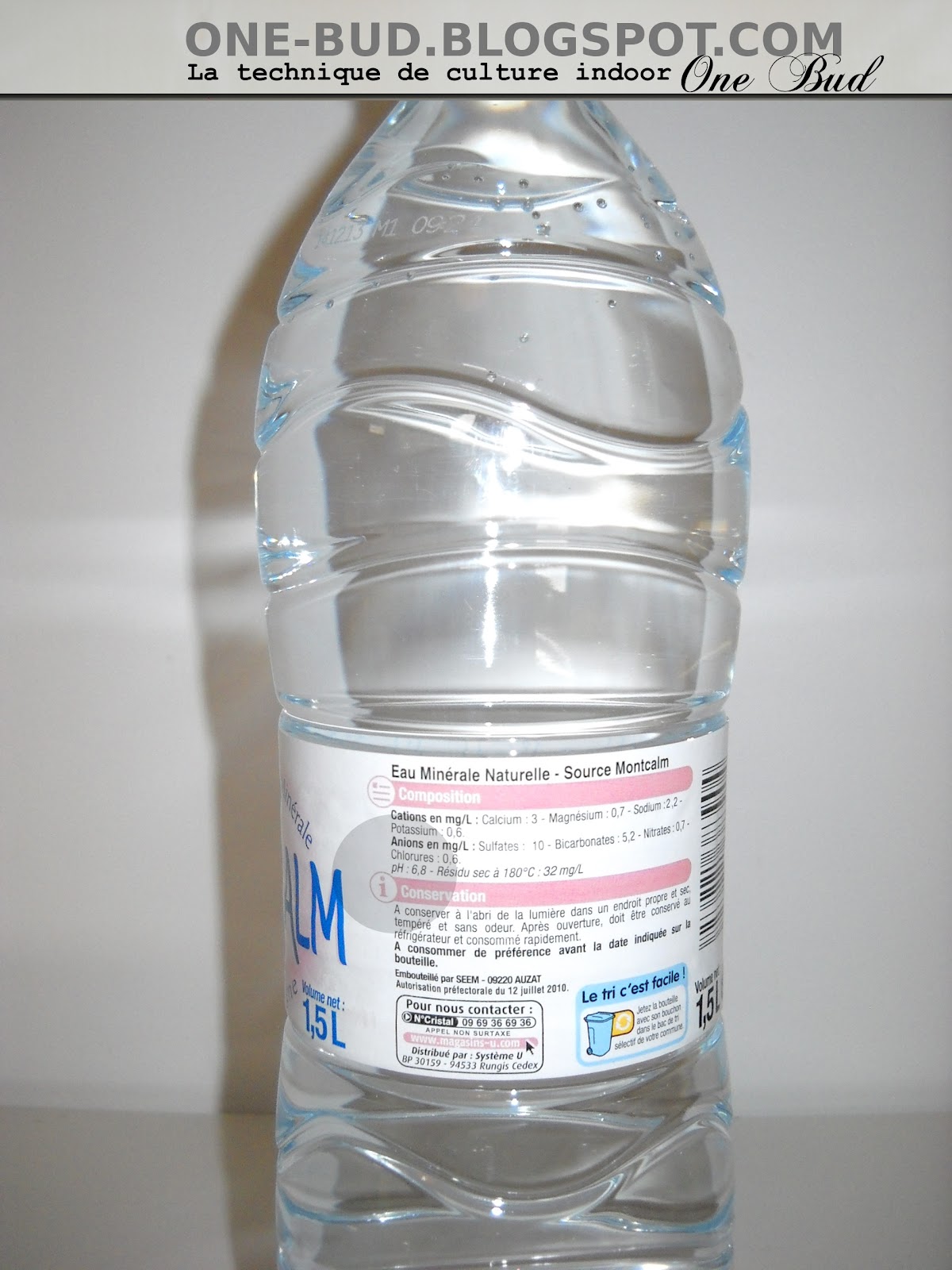 graine cannabis hollande