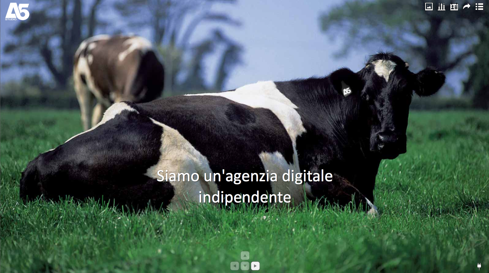 siti di incontro online gratis senza registrazione geekissimo