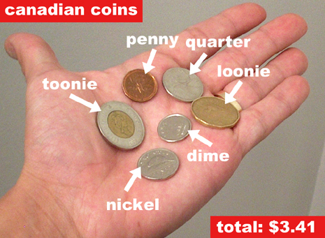 Canadian Loonie Coin
