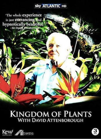 KINGDOM OF PLANTS-HD