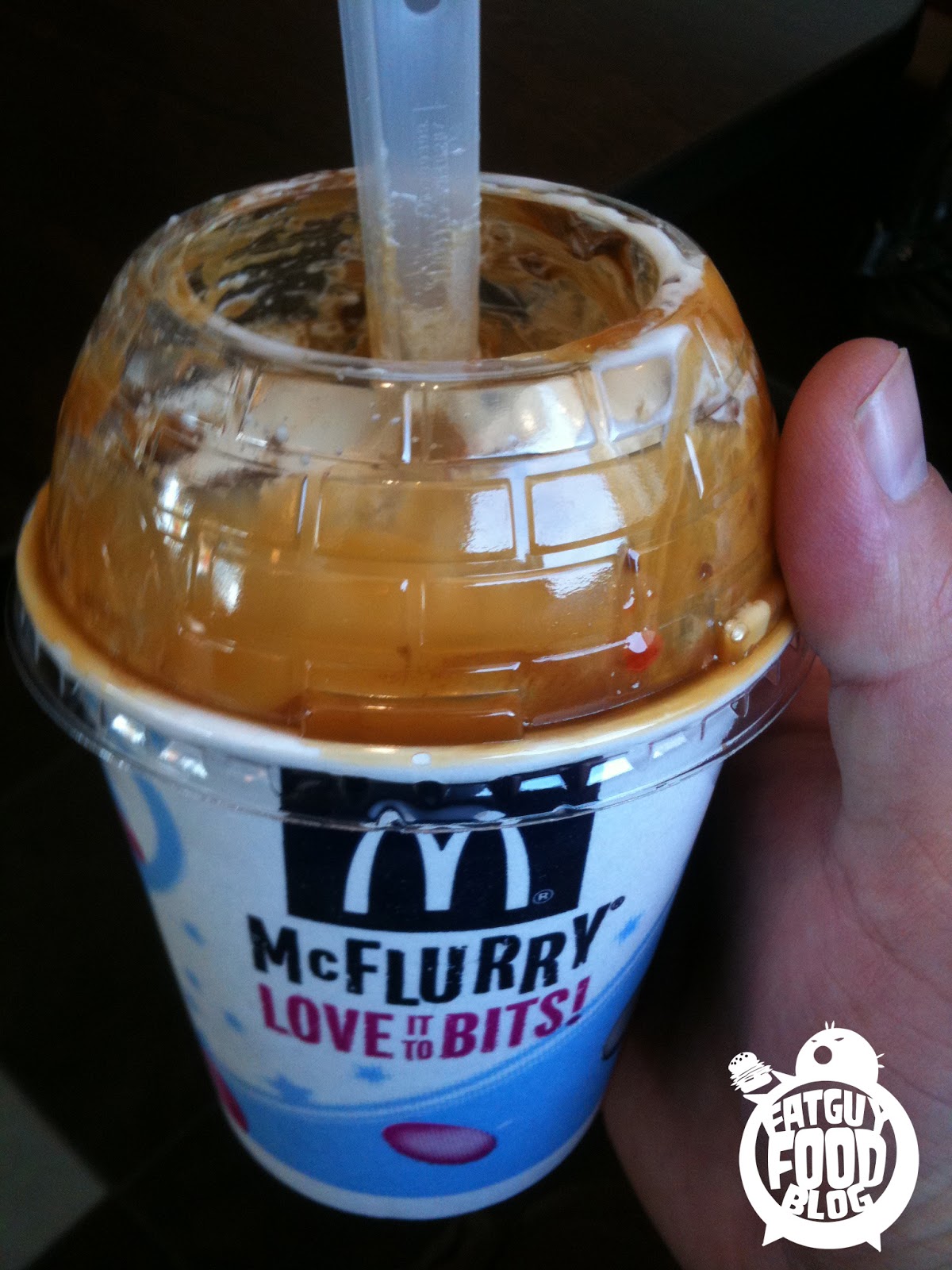 FATGUYFOODBLOG Rolo McFlurry
