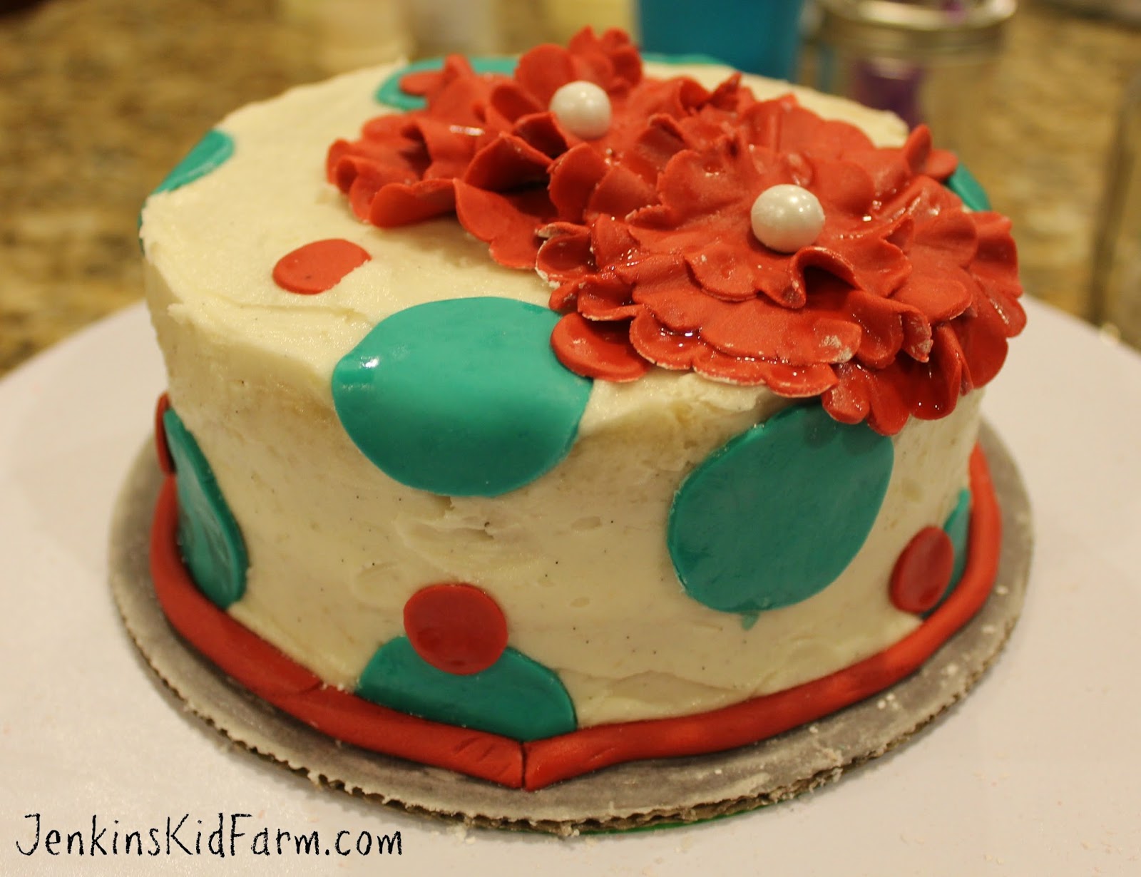 Jenkins Kid Farm Girl's Red and Turquoise Cake Decorating Birthday Party