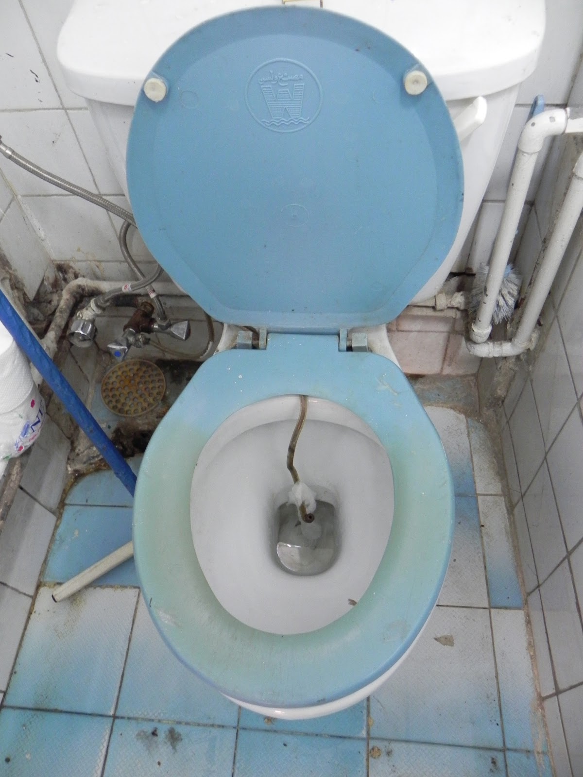 Egyptian Sand Toilet at Melinda Gray blog