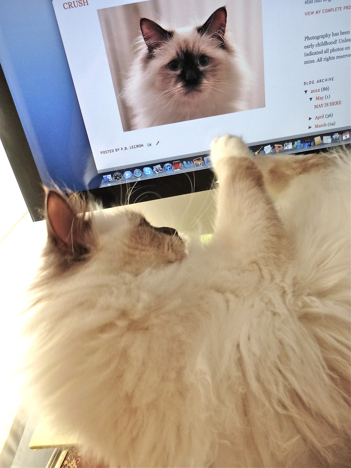 A French Education How Do You Say To Have A Crush On In French