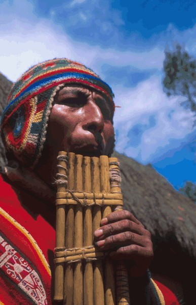 Native Andean Musician
