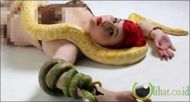 Lengan Palsu Sarang Ular Lengan Palsu Sarang Ular