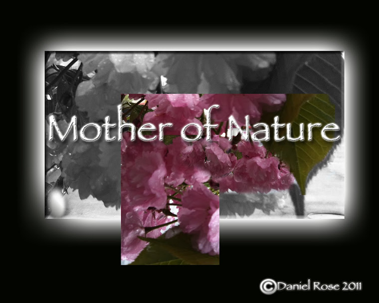 MOTHER OF NATURE