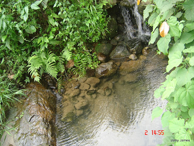 Streams at Velliamattom, Thodupuzha, Idukki