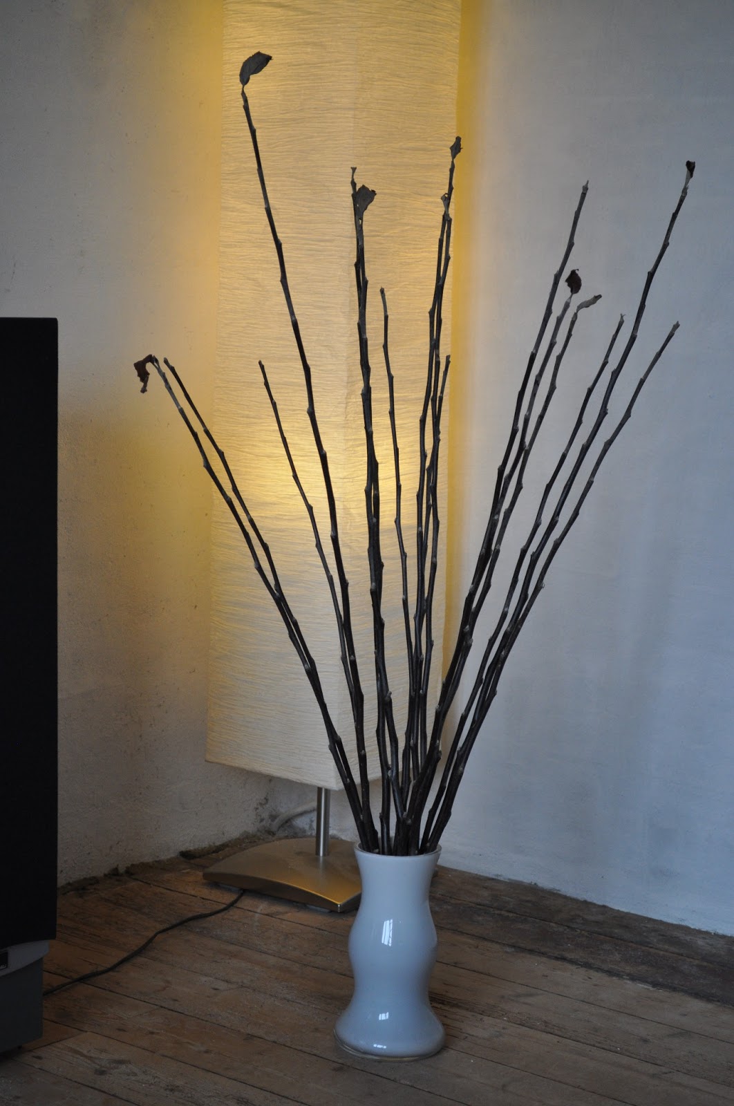 Den bly viol: blomstrende grene Stue viol