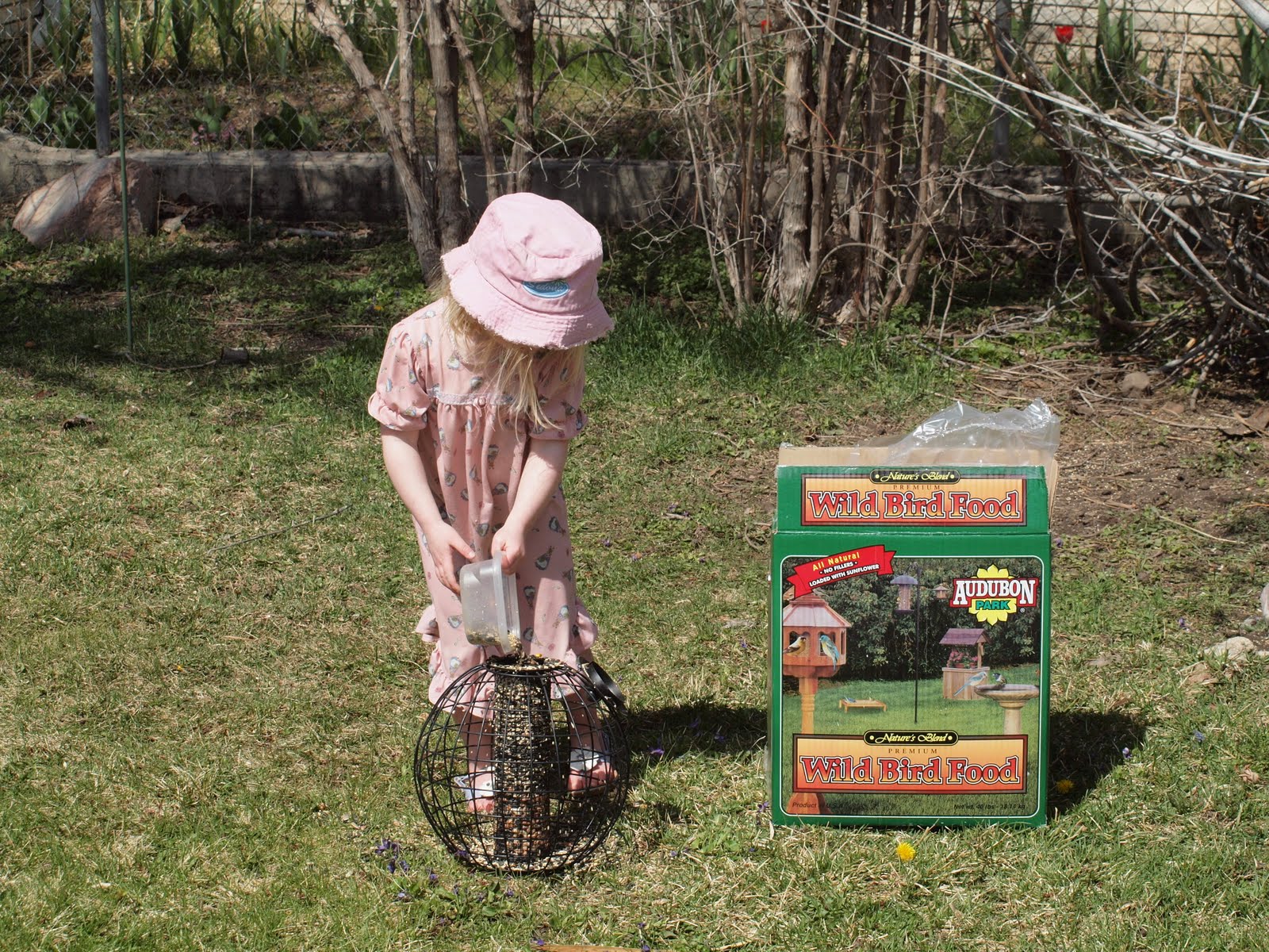 Birding Is Fun! Review Audubon Park Wild Bird Seed