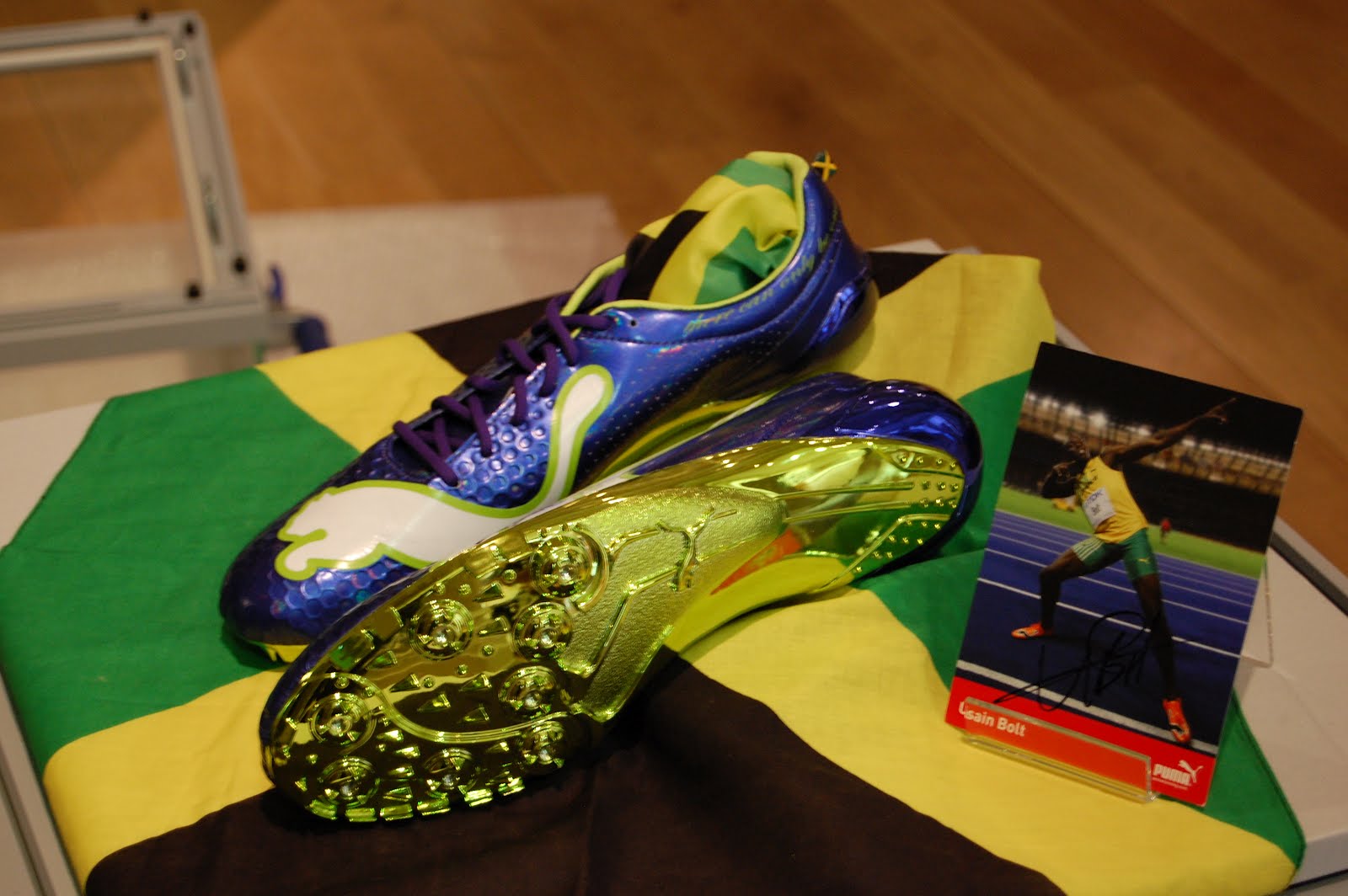 usain bolt spikes puma