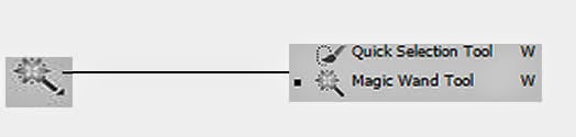 Quick Selection Tool and Magic Wand Tool (W)