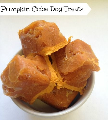 Recipe For Dog Treats Made With Pumpkin Recipe For Dog Treats Made With Pumpkin