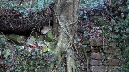 recherche rencontre a frevent