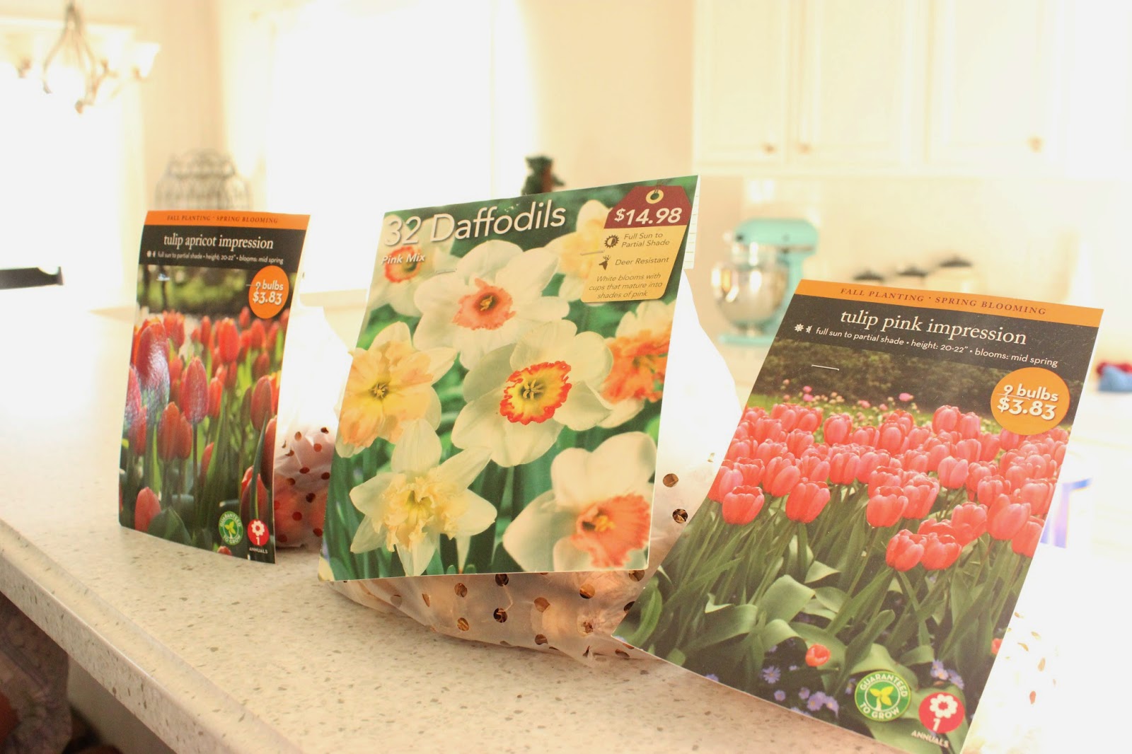 What So Sizzle Bout Sizzling Suzai Malaysia Fashion Travel And