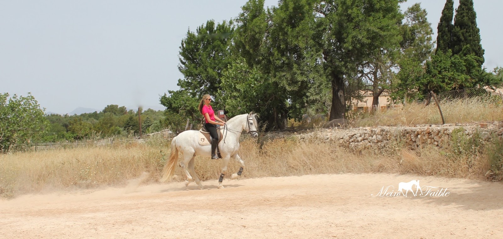 Blogpferd Pferdeblog Das Pferde Blog Fur Pferdefreunde August 2007