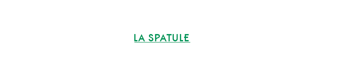 La Spatule 