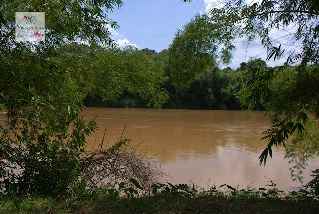 Cat Tien Jungle Lodge, Nam Cat Tien