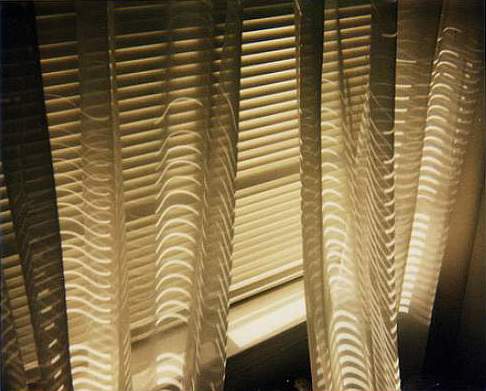 The Drapery Guy - Homestead Business Directory